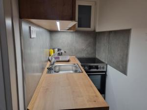 uma pequena cozinha com um lavatório e um fogão em Downtown Studio Apartman em Pécs