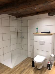 a bathroom with a shower and a toilet at Chalet 3 Céline 6 personnes Vieux Village in Bonneval-sur-Arc