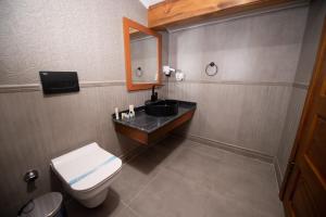 een badkamer met een toilet, een wastafel en een spiegel bij AHISKA PALAS OTEL in Kars