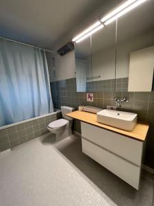 a bathroom with a sink and a toilet and a mirror at Castle View Big Appartment Vaduz Center in Vaduz