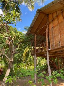 A garden outside Sigiriya Paradise Treehouse