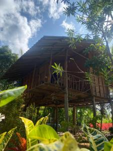A garden outside Sigiriya Paradise Treehouse