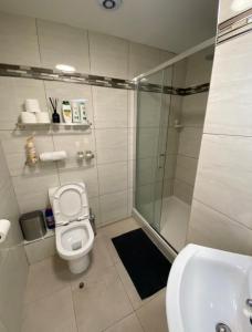 een badkamer met een douche, een toilet en een wastafel bij Modern and spacious city centre apartment in Dublin