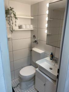 ein kleines Bad mit WC und Waschbecken in der Unterkunft Apartment 33 in Bad Hönningen