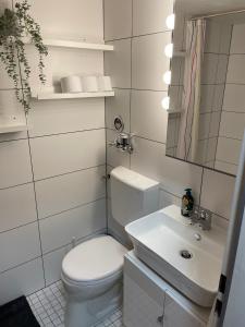 Baño blanco con aseo y lavamanos en Apartment 33, en Bad Hönningen