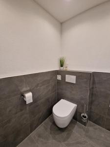 a bathroom with a white toilet in a room at Appartement Lurger in Kirchberg in Tirol