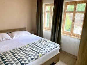 um quarto com uma cama e duas janelas em Levendula Vendégház em Bük