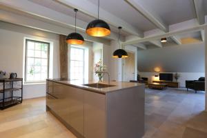 a kitchen with a large island in a living room at Hoogheem Erfgoed & Logies in Nieuwolda