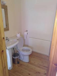 a bathroom with a white toilet and a sink at Townhouse 2 Barrow Lane in Carlow