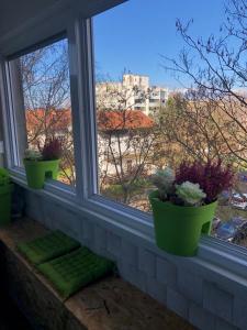 a window sill with three green potted plants on it at Ami-go/ Blizu zračne luke Zagreb in Velika Gorica