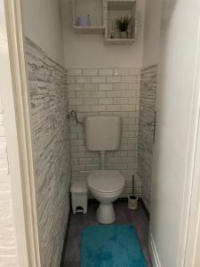 a small bathroom with a toilet and a blue rug at Ami-go/ Blizu zračne luke Zagreb in Velika Gorica