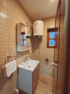 a bathroom with a sink and a shower at Apartmani Astra in Risovac