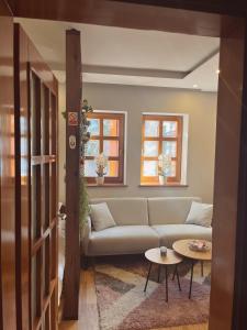 - un salon avec un canapé et une table dans l'établissement Apartmani Astra, à Risovac