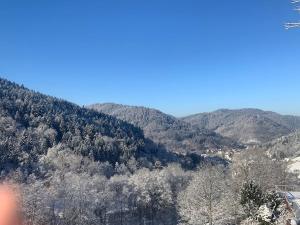 a view of a mountain with trees and mountains at Schöne moderne & rustikale Einliegerwohnung mit Küche in Schramberg