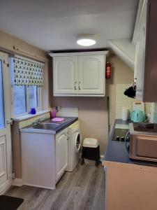 una pequeña cocina con fregadero y lavavajillas en Small Town House, Barrow Lane, Bagenalstown, Carlow, en Bagenalstown