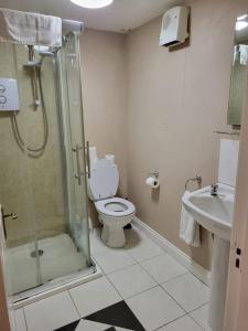 y baño con ducha, aseo y lavamanos. en Small Town House, Barrow Lane, Bagenalstown, Carlow en Bagenalstown