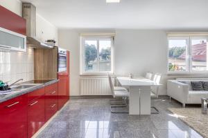 a kitchen with red cabinets and a white sink at Sunshine mit Kamin und Saunahaus in Alt Schwerin