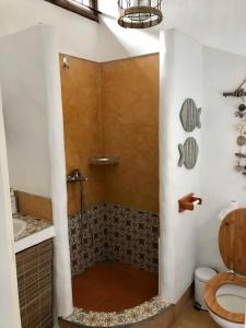 ein Bad mit einer Dusche, einem WC und einem Waschbecken in der Unterkunft BlueMoon Villa on The Beach in Trou dʼ Eau Douce