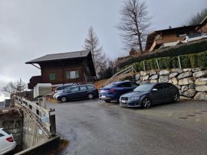 Fotografie z fotogalerie ubytování Chalet Gotthelf Gartenstudio, Ferien mit Hund v destinaci Adelboden