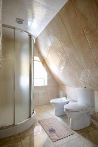 een badkamer met een douche, een toilet en een wastafel bij Карпатська садиба in Plavie