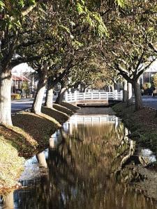 旅馆周边自然景观
