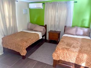 two beds in a room with green walls at Centrally located, private, 1 bedroom apartment. in Willemstad