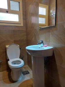 uma casa de banho com um WC e um lavatório em Modern entire apartment in the heart of Sheikh Zayed city em Sheikh Zayed
