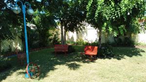 dwa czerwone krzesła siedzące pod drzewem na podwórku w obiekcie Las orquídeas w mieście Goya
