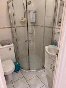 e bagno con doccia, servizi igienici e lavandino. di Beautiful 1 bed bungalow a Ryde