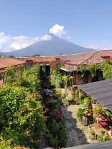 a garden with plants and a mountain in the background at Hotel Eterna Primavera Antigua in Antigua Guatemala