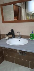a white sink in a bathroom with a mirror at Petra cabin Roof top hostel in Wadi Musa