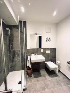 a bathroom with a shower and a sink and a toilet at Zentrales charmantes Apartment im Altstadtkern in Bayreuth