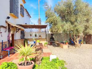 un patio de una casa con plantas y un árbol en Huerta Segura, en Antequera