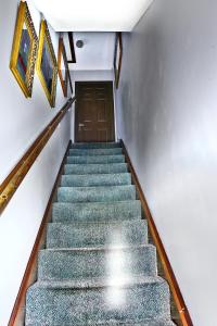 a stairway with blue steps and a wooden door at A cosy house near the city centre in Glasgow