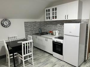 Kuhinja ili čajna kuhinja u objektu Aster Apartments