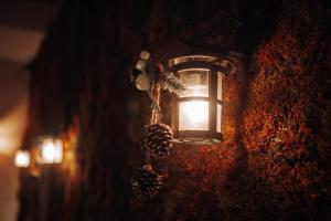 a lantern with pine cones on a wall at Tree Hotel in Korçë