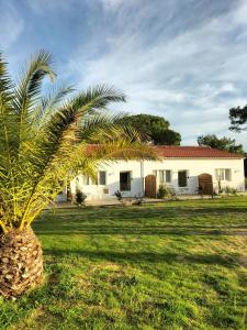 a palm tree in front of a house at Les Salines Oléron in Saint-Pierre-dʼOléron