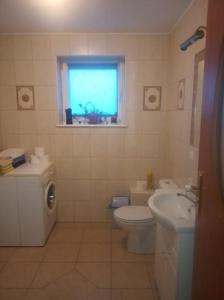 een badkamer met een toilet, een wastafel en een raam bij Agroturystyka Leśna Wyspa in Kaliska
