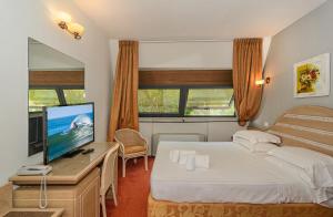 TV a/nebo společenská místnost v ubytování Hotel Nedy