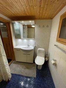 a bathroom with a sink and a toilet at Siljonranta in Muonio