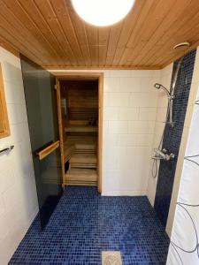 a bathroom with a walk in shower and a walk in closet at Siljonranta in Muonio