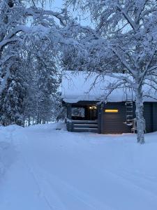 a cabin in the snow with a tree in the foreground at Siljonranta in Muonio