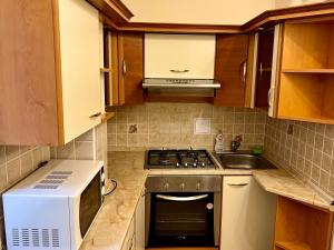 Kuchyňa alebo kuchynka v ubytovaní Stara Louka Apartments