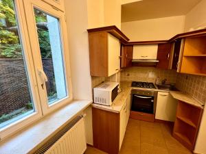 Kuchyňa alebo kuchynka v ubytovaní Stara Louka Apartments