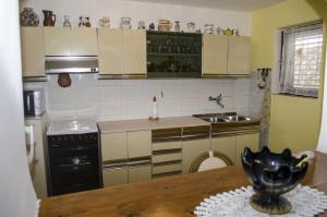 Kuchyň nebo kuchyňský kout v ubytování Apartment Macan