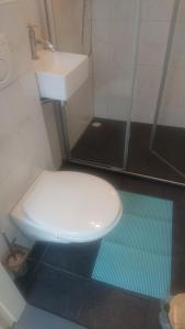 a bathroom with a toilet and a sink and a shower at Klinket Zoutelande in Zoutelande +30 photos