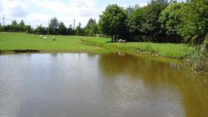 Naturlandschaft in der Nähe des Bed & Breakfasts