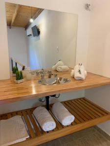 サンタ・ロサ・デ・カラムチタにあるAromas del Valleの洗面台と鏡のあるバスルーム