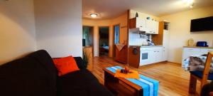 ein Wohnzimmer mit einem Sofa und einer Küche in der Unterkunft Ferienwohnung Bergholz in Klein Zicker
