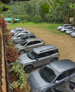 Fotografie z fotogalerie ubytování Casa Flórez Hotel Campestre v destinaci Ibagué